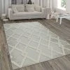 Paco Home Tapis Intérieur & Extérieur, Avec Poils Longs En Relief Et Motif Los... -Magasin Joss & Main hochflor falchgewebe gemisch cream teppich wohnzimmer esszimmer schlafzimmer 1