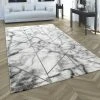 Paco Home Tapis De Salon Gris Marbre Argenté Optiques 3D Design Poil Court Moqu... -Magasin Joss & Main kurzflor teppich grau weiss silber modern linien esszimmer flur diele hochwertig marmor teppiche wohnzimmer schlafzimmer abstraktes muster 1