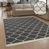 Paco Home Tapis Salon Adulte Lavable En Machine Scandinave Boho Franges Anthraci...