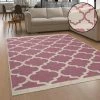 Paco Home Tapis Salon Chambre Adulte Lavable Scandinave Oriental Franges Rose Cr...