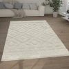 Paco Home Tapis Salon Chambre Adulte Poil Long 3D Moelleux Boho Motif Scandinave...