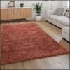 Paco Home Tapis Shaggy Tapis De Salon Poil Long Doux Moderne Motif Monochrome Or...