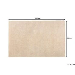 Beliani Tapis Beige Clair 200 X 300 Cm DEMRE - Beige Clair -Magasin Joss & Main undef src sa picid 683600 x 2560 type whitesh image